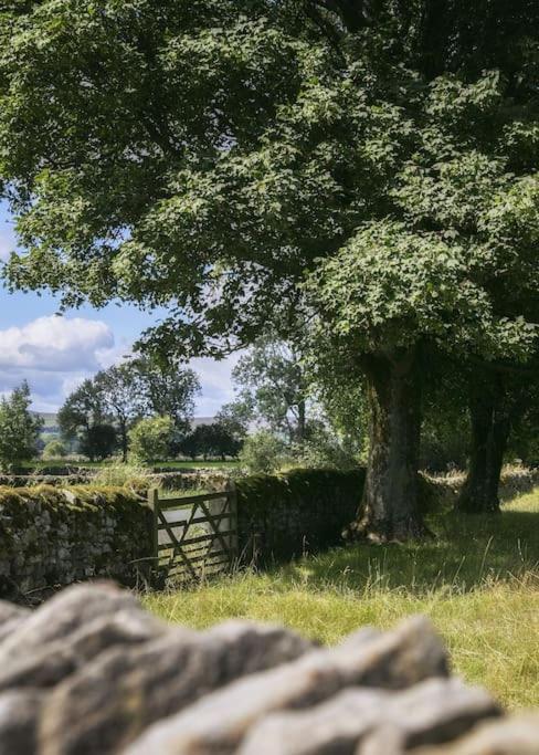 Apartment White Deluxe 2 Bedroom Grassington